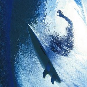 Meet your Posher, Paige